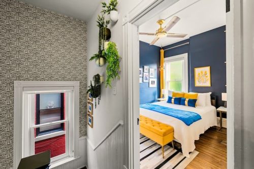 Zoya's Kentucky Royals