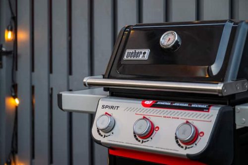 Zoya's Kentucky Royals